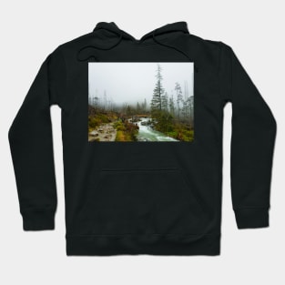 A Foggy Hike Hoodie